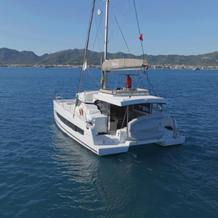 Ediba Aries | Bali Catspace photo 2