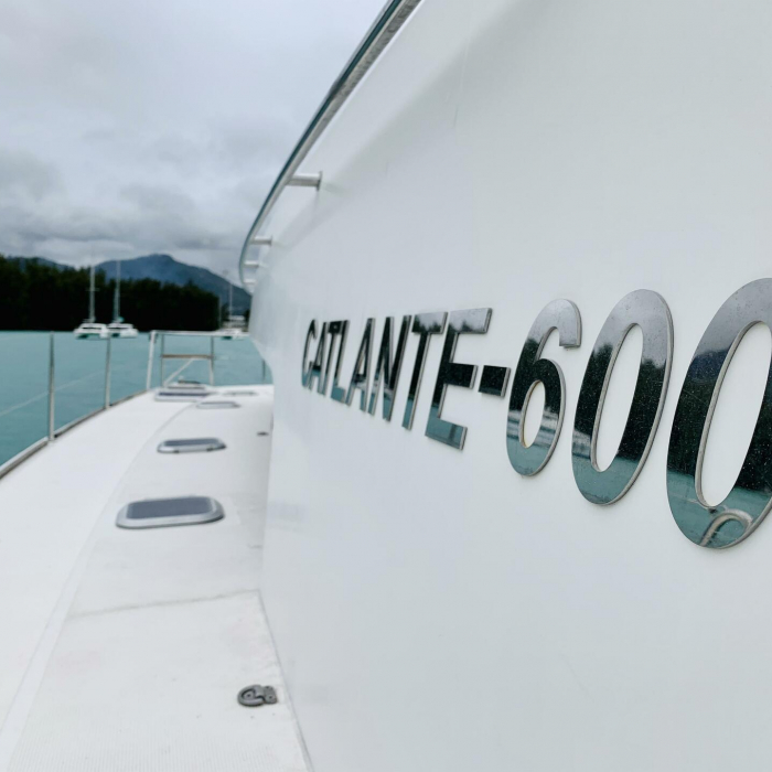 Bacchus | Catlante 600 photo 5