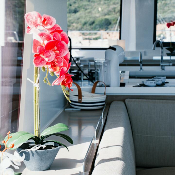 Alfa.bm2 | Bali 5.4 photo 26