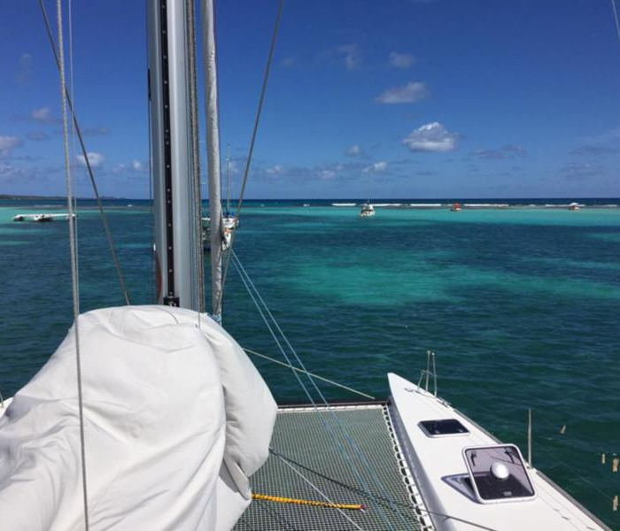 Castor | TS 42 photo 40