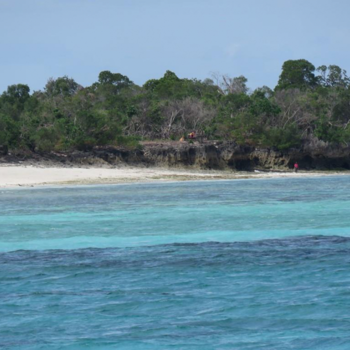 JAUDANIC III | Leopard 48 photo 36