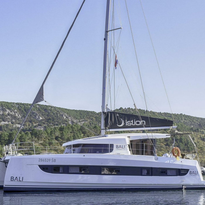 First Toy | Bali Catsmart photo 19