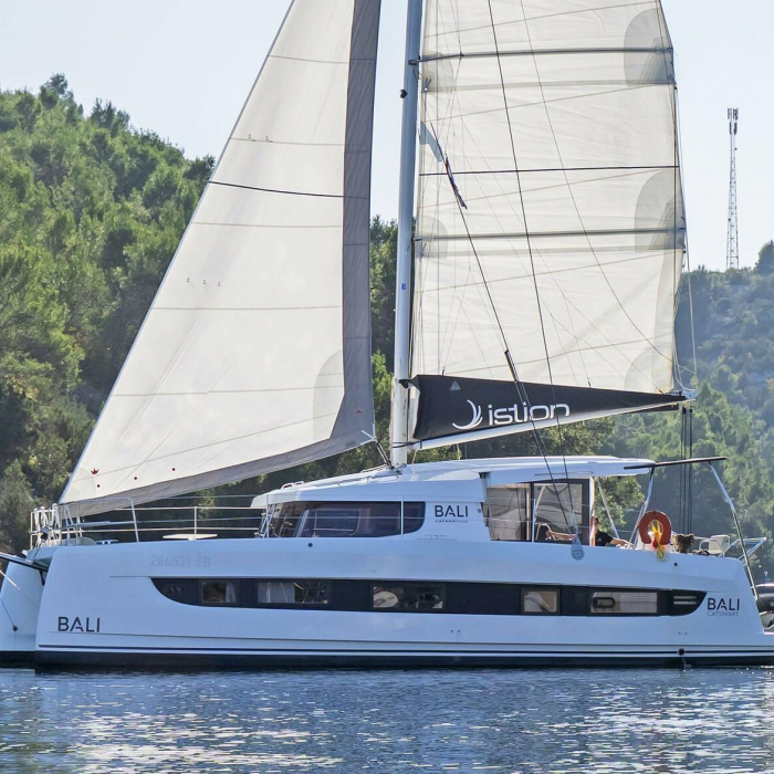 First Toy | Bali Catsmart photo 12