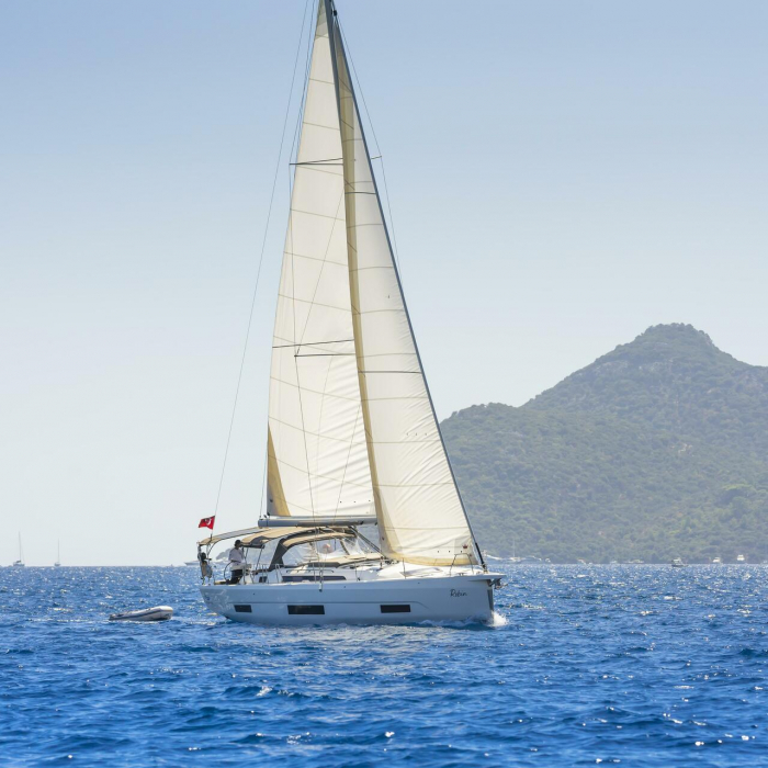 Robin | Dufour 470 photo 7