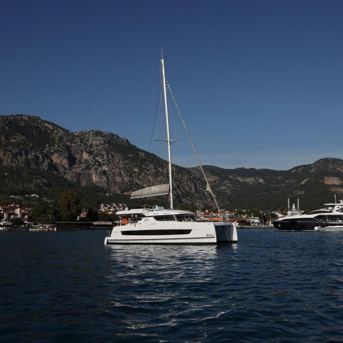 Rea | Bali Catspace photo 25