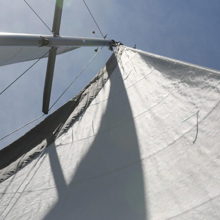 Sophia | Sun Odyssey 33 photo 1