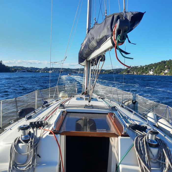 Alto Mare | Bavaria 36 Cruiser photo 3