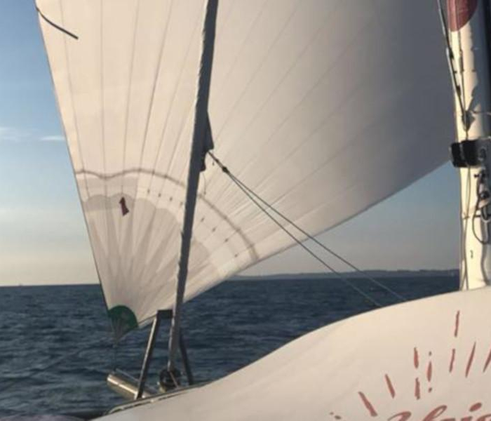 Castor | TS 42 photo 5