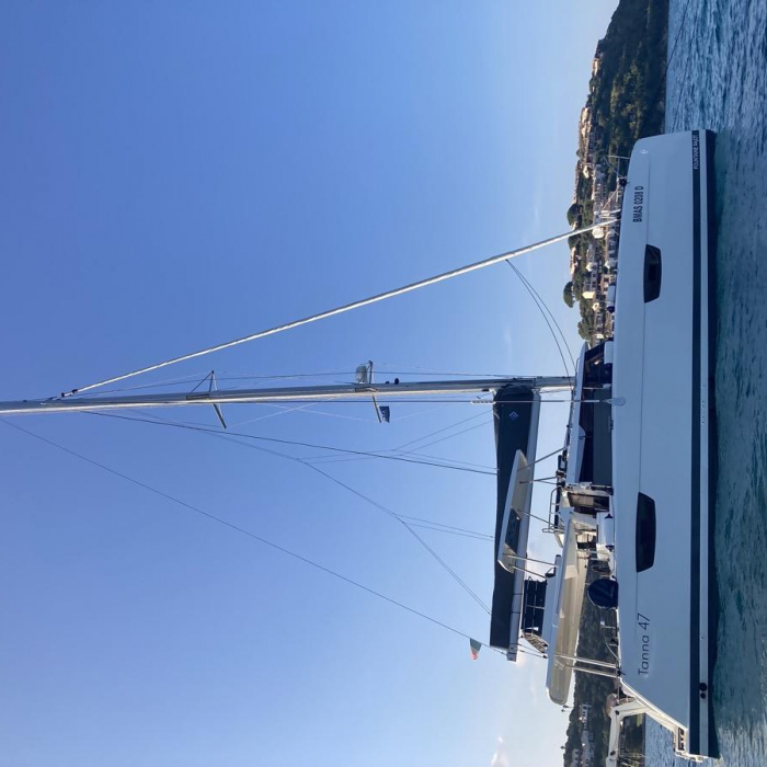 Blue Mandarin | Tanna 47 photo 5