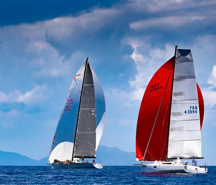 Purple Rain | Pogo 12.5 photo 10