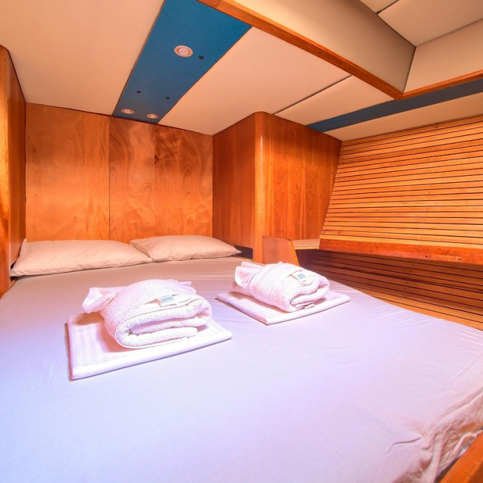 Amica | Dolphin 50 photo 12