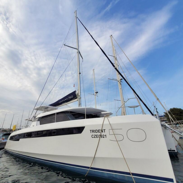 Trident | Leopard 50 photo 9