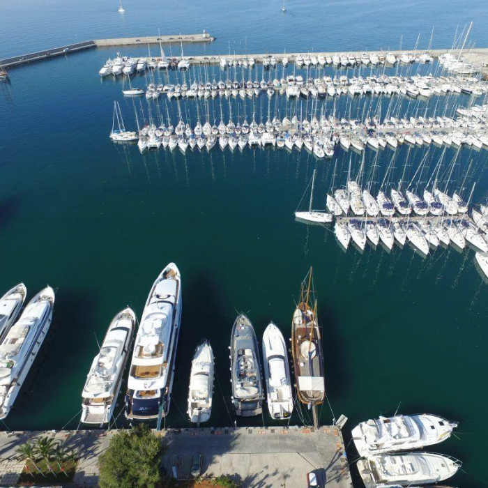 Buddy | Beneteau Oceanis 46.1 photo 2