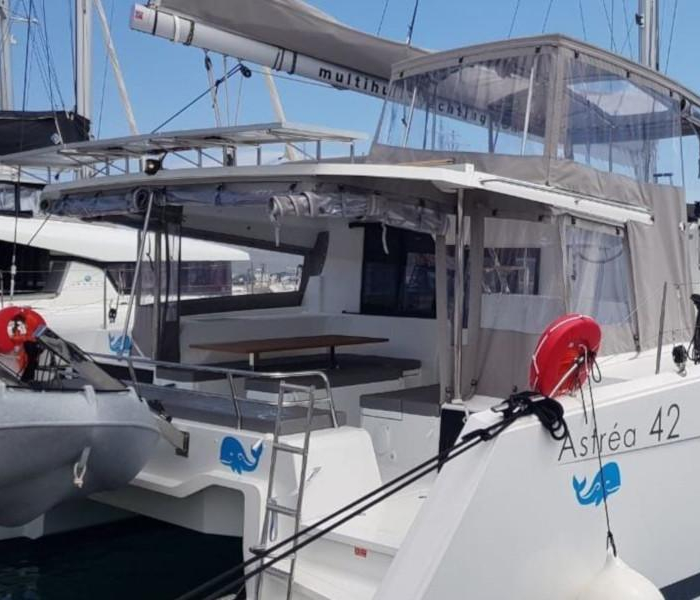 Wild Baleine | Astrea 42 photo 7