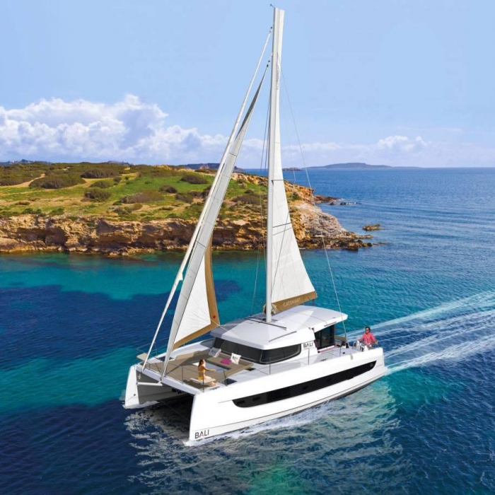 Timeless | Bali Catsmart photo 13