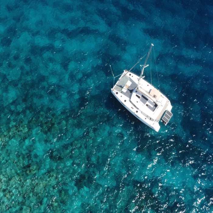 Purpose | Saba 50 photo 6