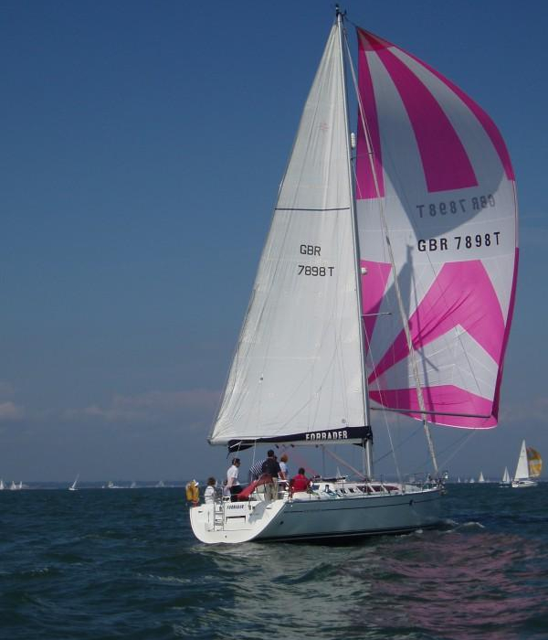 Sandpiper | _Model not defined photo 2