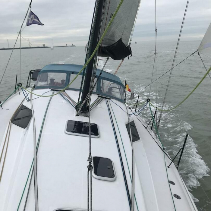 SILVER WAVE | Pogo 36 photo 8