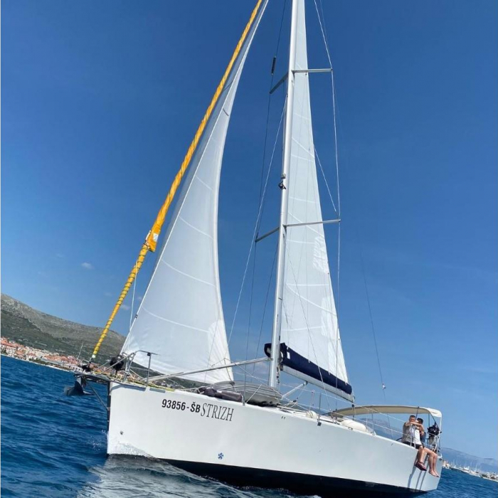 Strizh | Cobra 41 photo 5