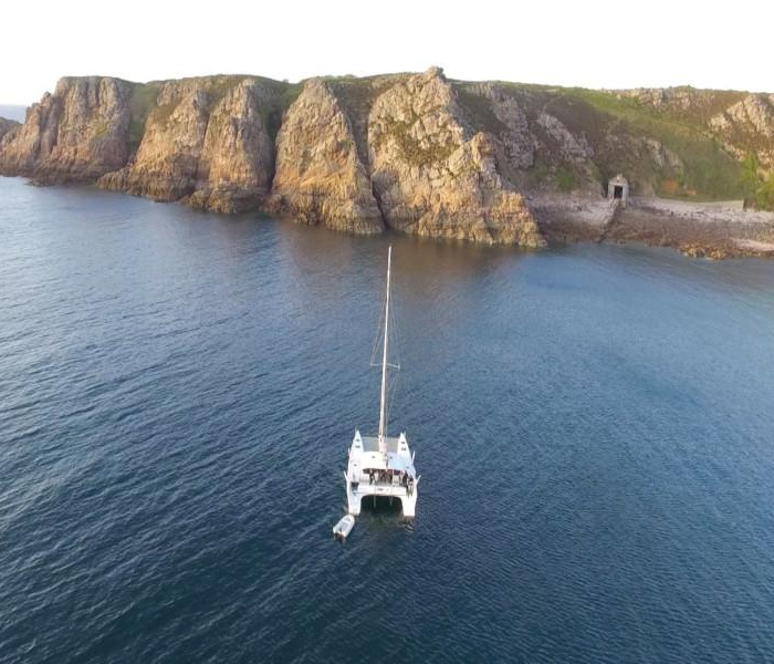 Castor | TS 42 photo 39