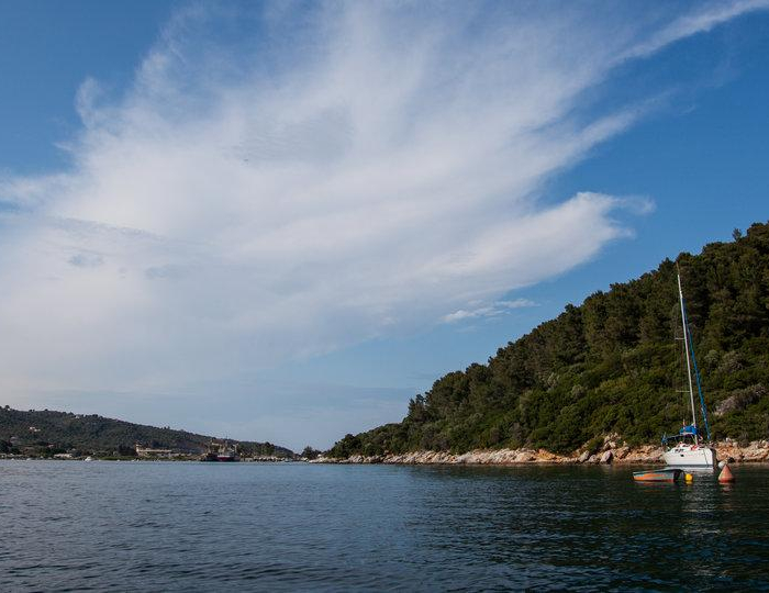 Izella | Sun Odyssey 36i photo 13