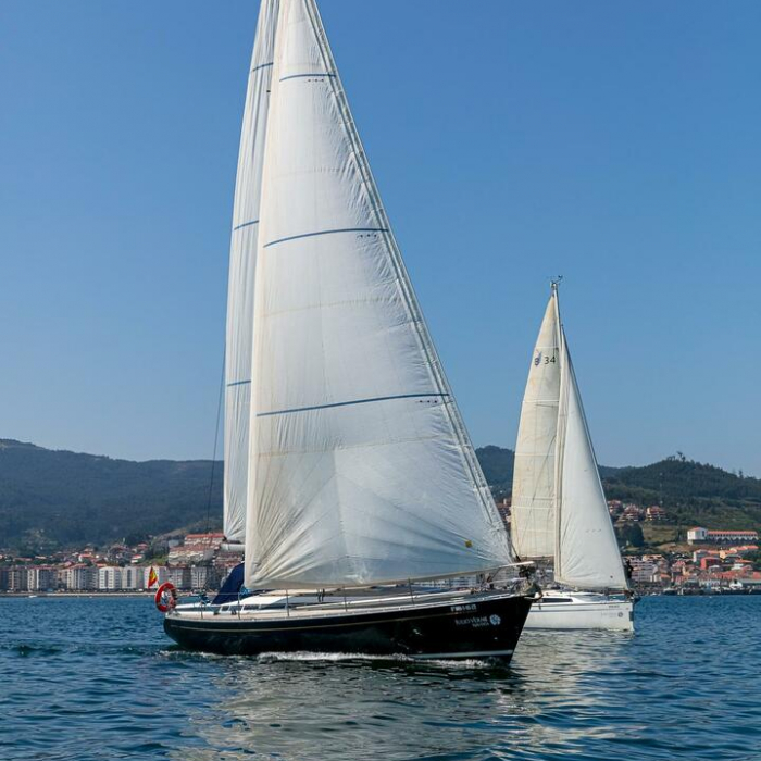 Nemo | Grand Soleil 43 photo 7