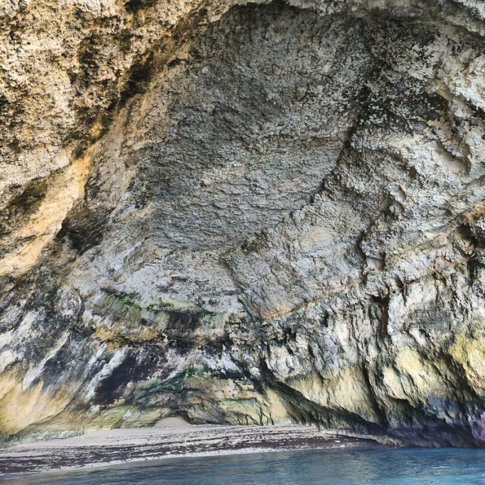 LOCO X | FP 44 photo 4