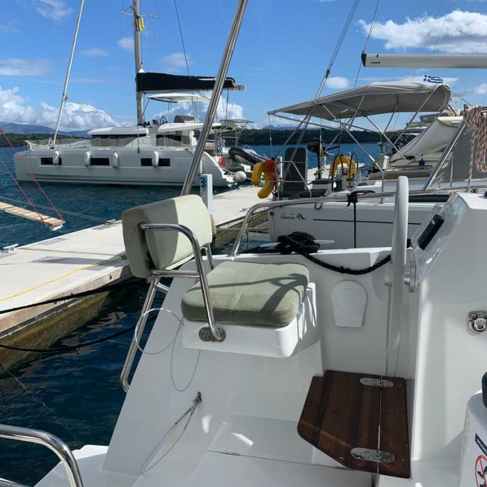 Timeless | Bali Catsmart photo 49