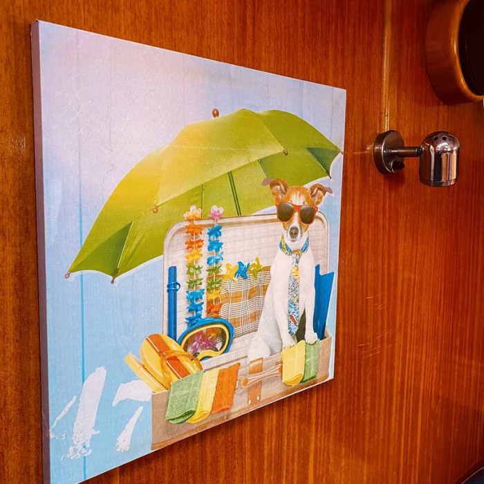 Iro (Pax 7) | Bavaria 42 Cruiser photo 23