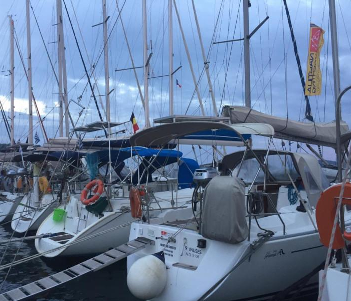 9 Muses | Hanse 342 photo 12