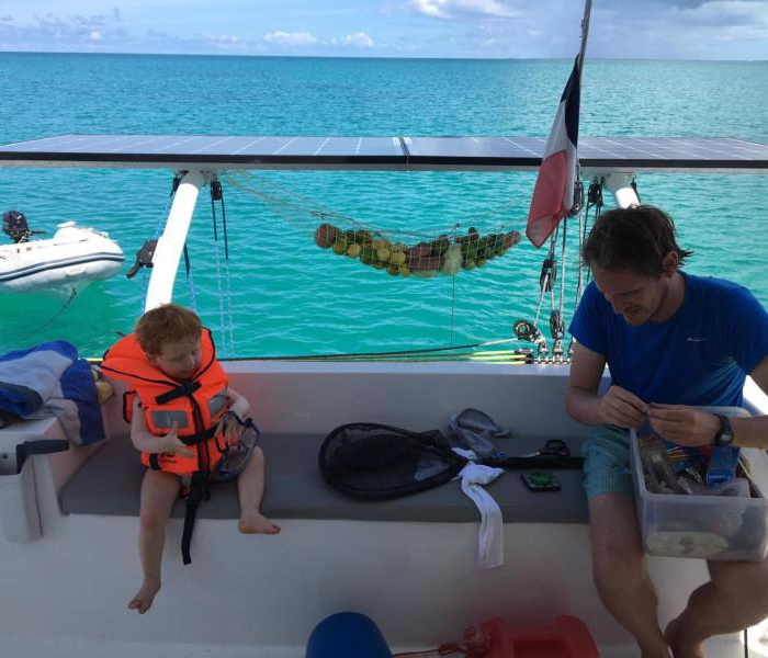 Castor | TS 42 photo 22