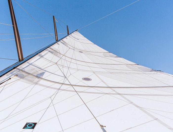 Artemis | X-Yachts X4.6 photo 16