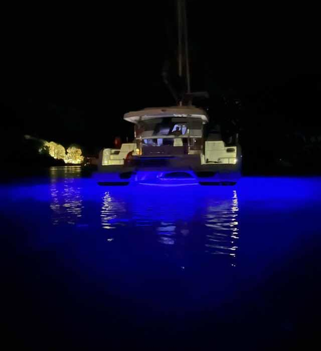 Reve De Vie | Bali Catspace photo 26