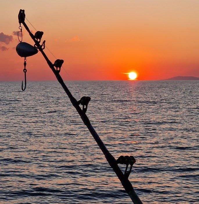 Maslina | Elan 45 photo 16