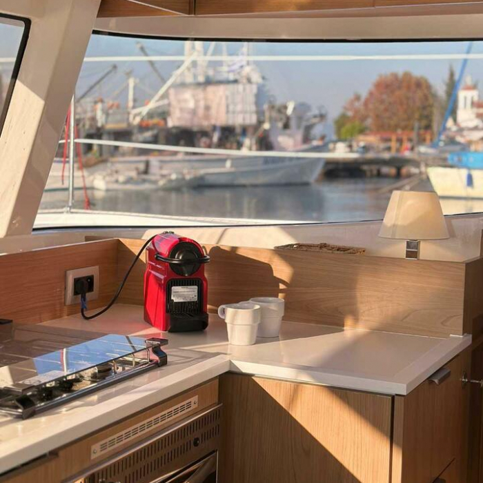 Northcat 38 | Bali Catsmart photo 5