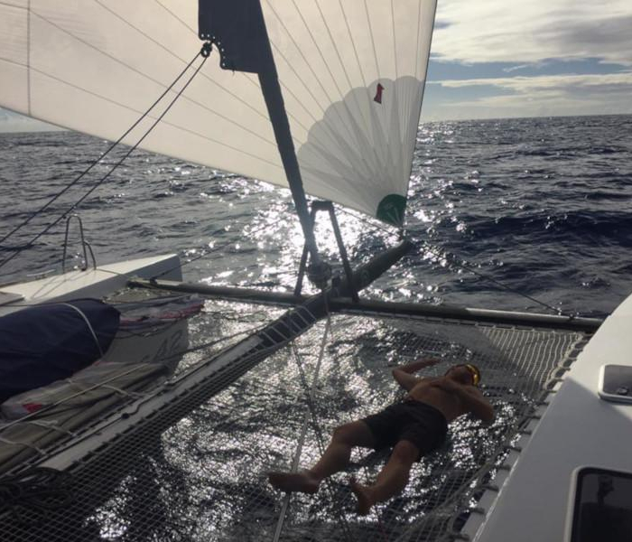 Castor | TS 42 photo 8