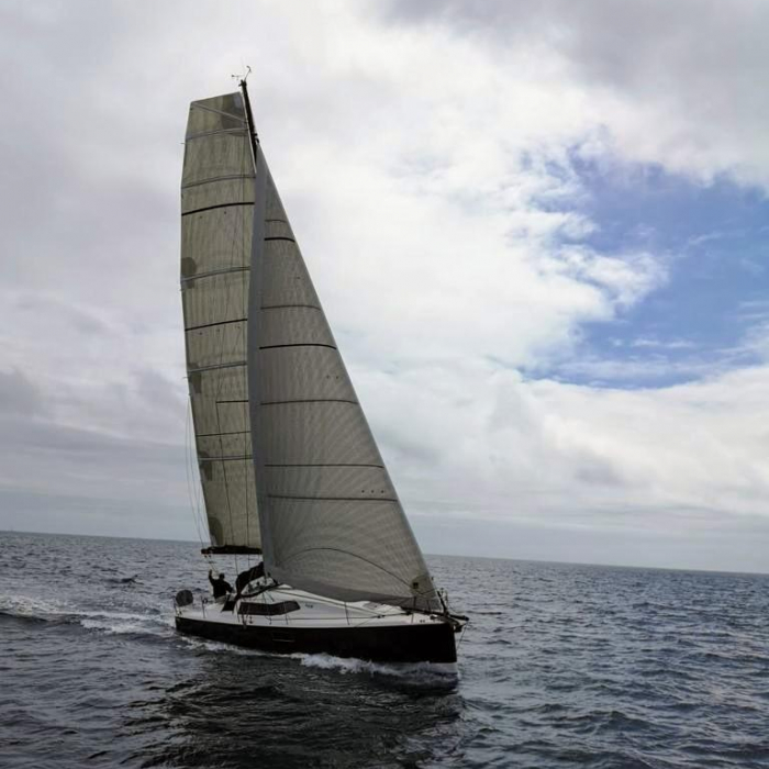 No Name | Pogo 36 photo 4