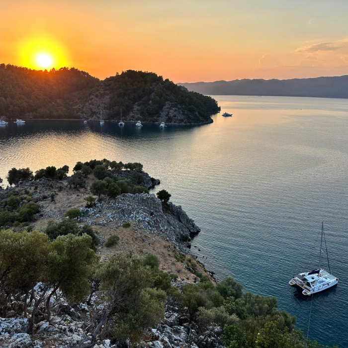 Emocean | Leopard 4300 photo 29