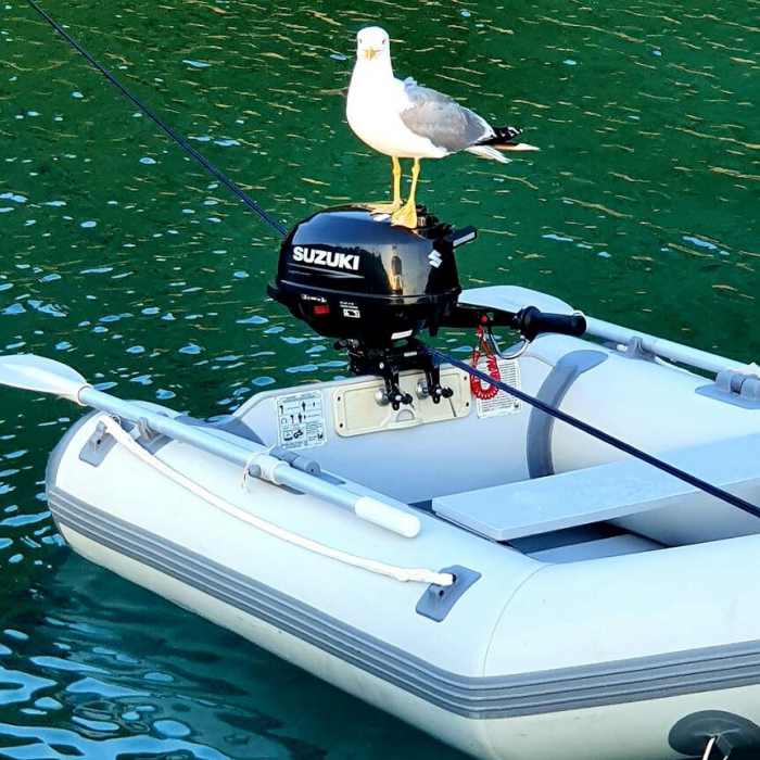 Scorpion | Bavaria 44 photo 18