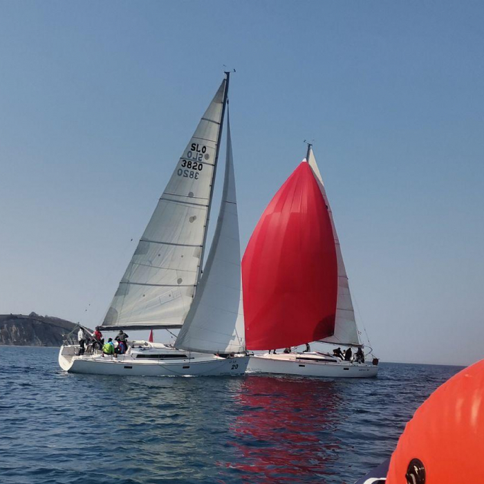 Tequila | Salona 38 photo 5