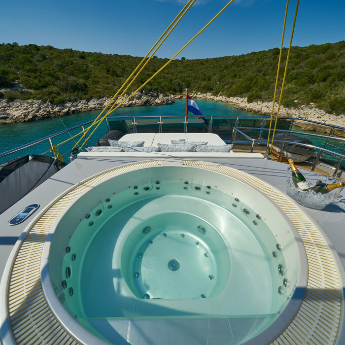 Rara Avis | Luxury Sailing Yacht Rara Avis photo 8