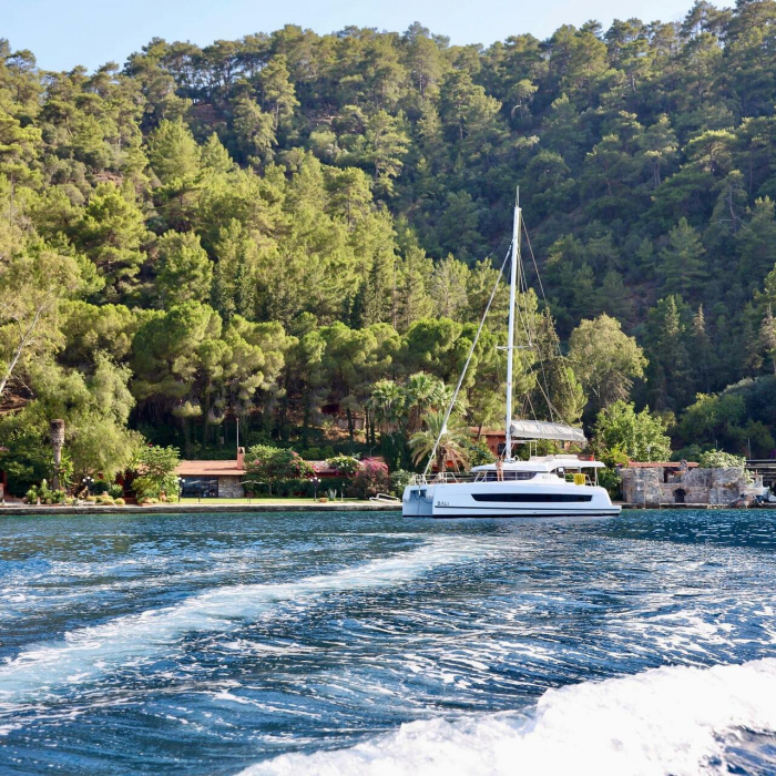 Rea | Bali Catspace photo 6