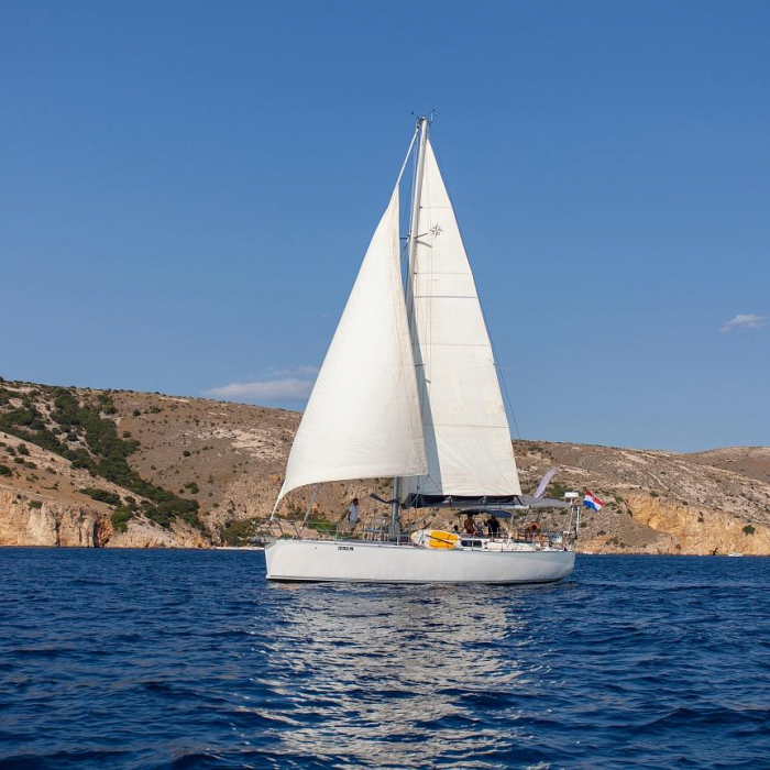 Amica | Dolphin 50 photo 25