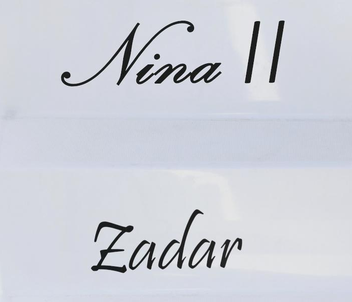 NINA II | Lagoon 40 photo 30