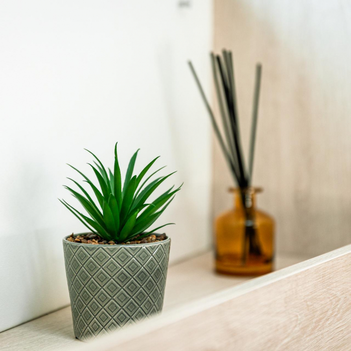 Windsea | Leopard 50 photo 5