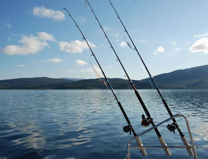 Arctic Princess | Lagoon 450 photo 10