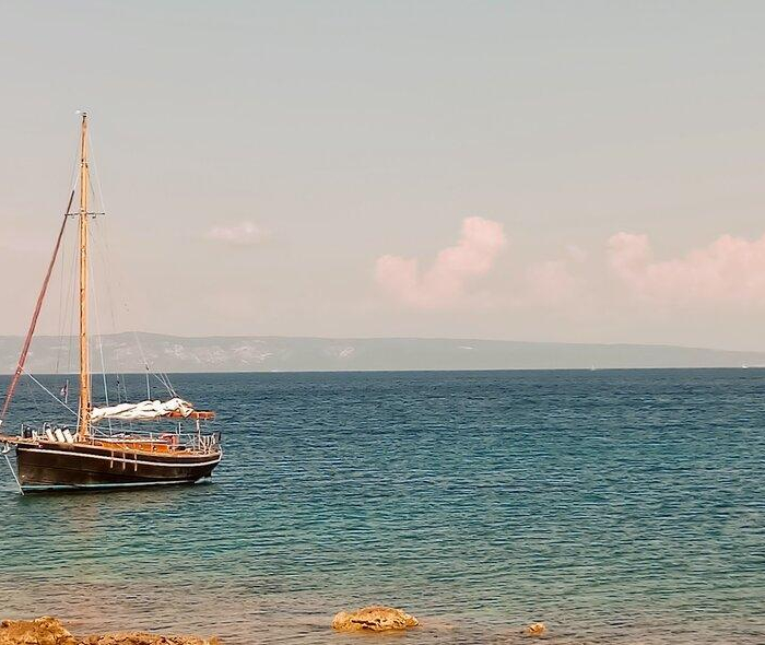 Black Bird | Pilot Cutter photo 8