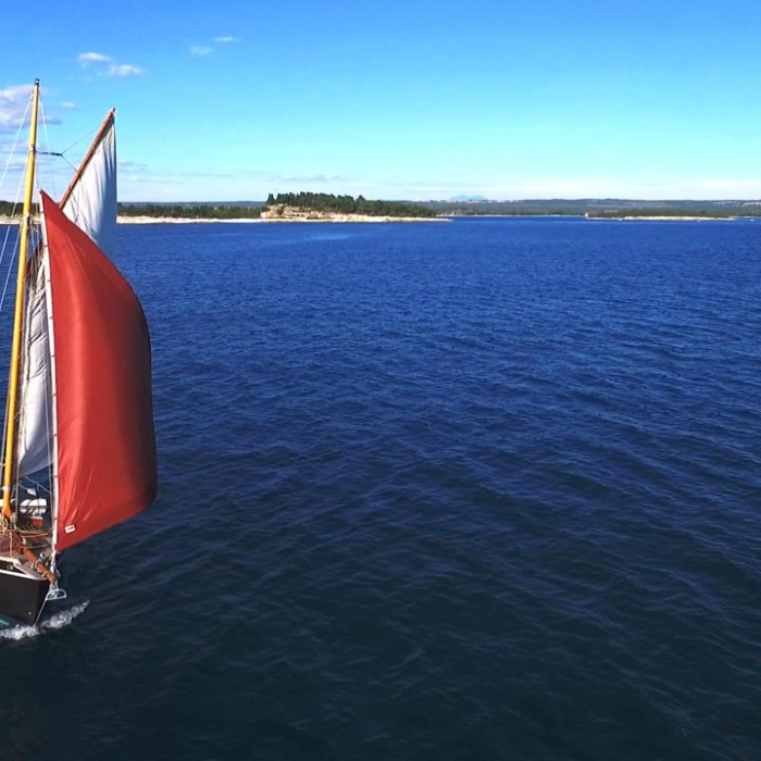 Black Bird | Pilot Cutter photo 3