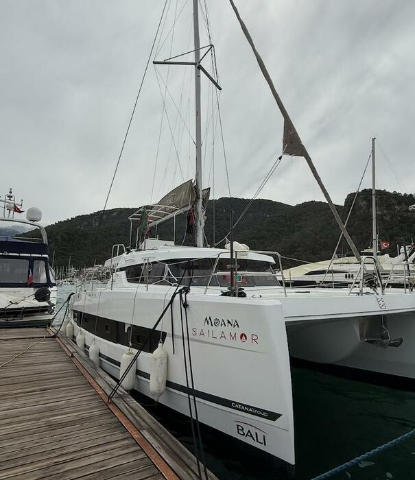 Moana | Bali Catspace photo 16