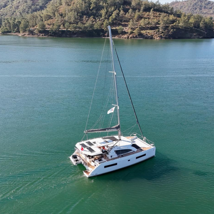 Panda Joy | Leopard 40 photo 11